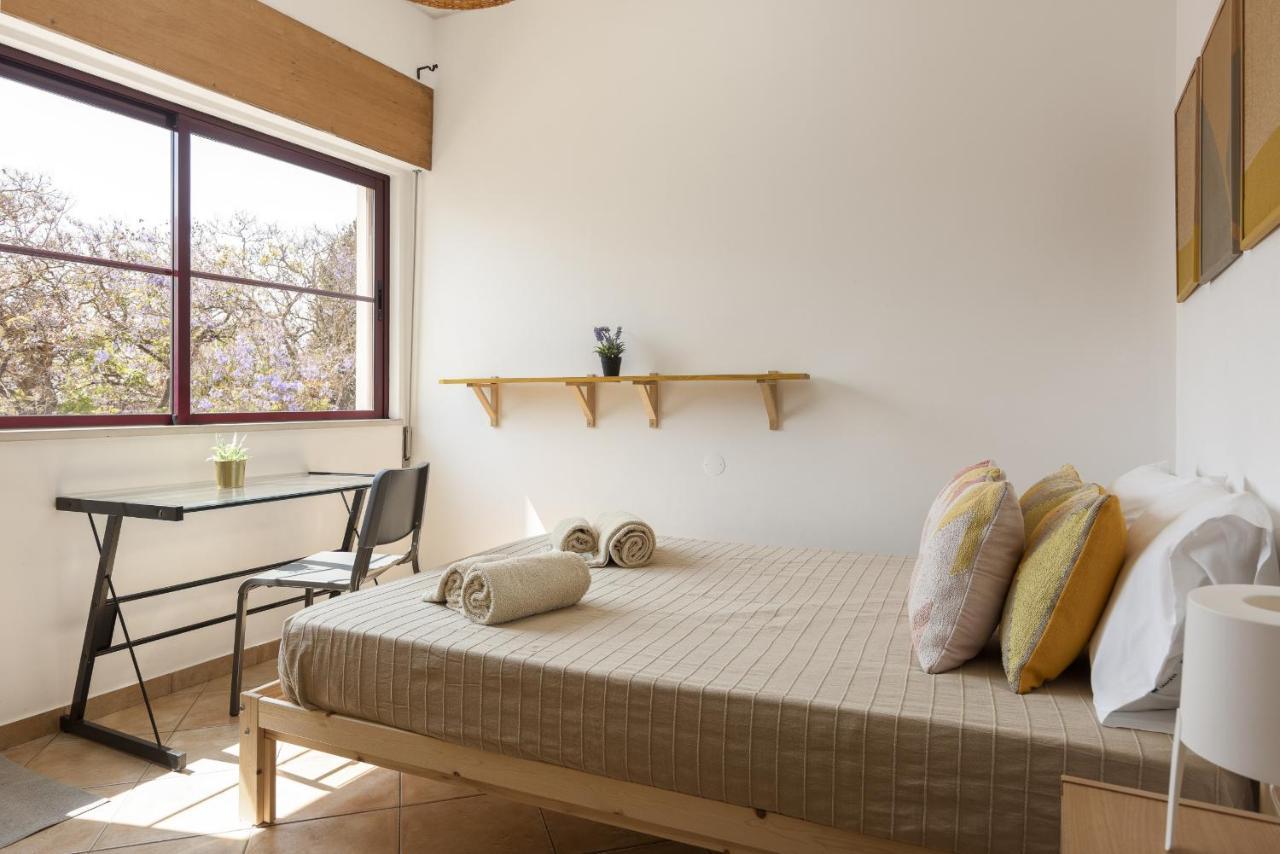 Casa Jardim II - City Center By Hd Properties 法鲁区 外观 照片